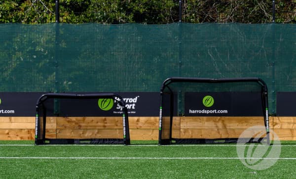 Folding Target Goal